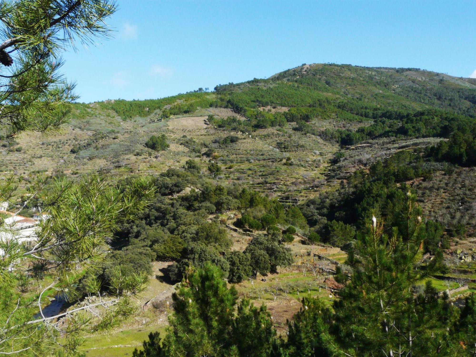 Apartamentos Rurales El Prado Pinofranqueado Eksteriør bilde